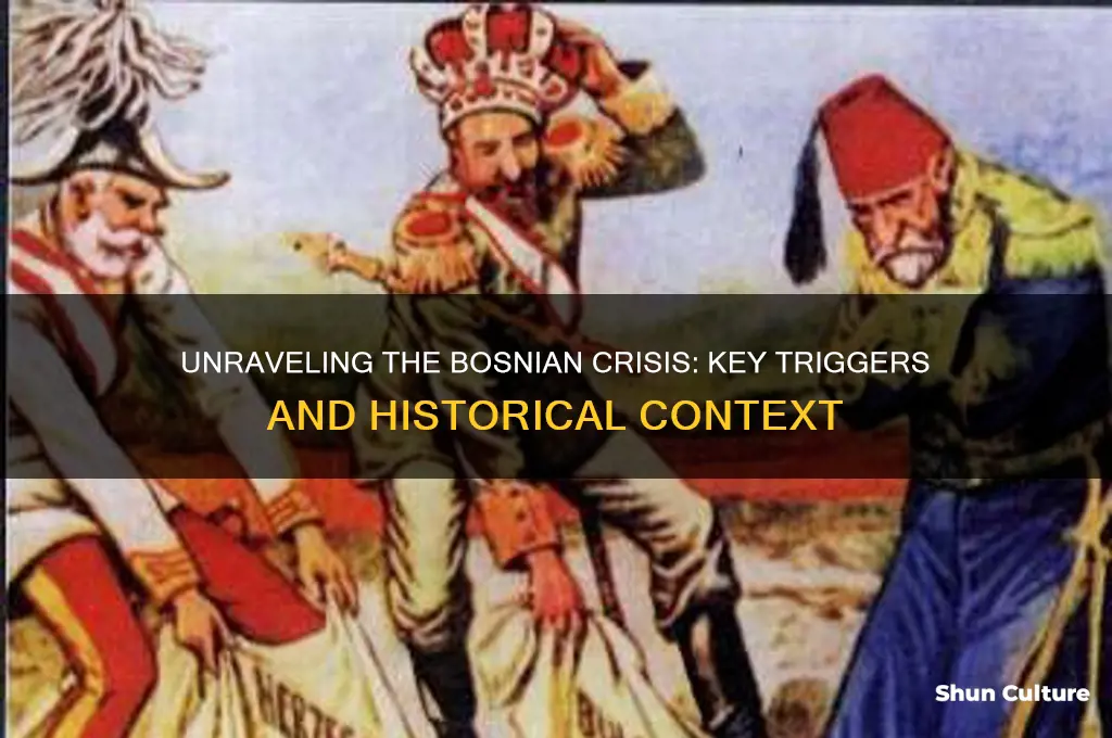 what was the cause of the bosnian crisis