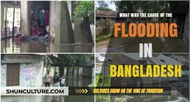Unraveling Bangladesh's Devastating Floods: Causes and Climate Connections