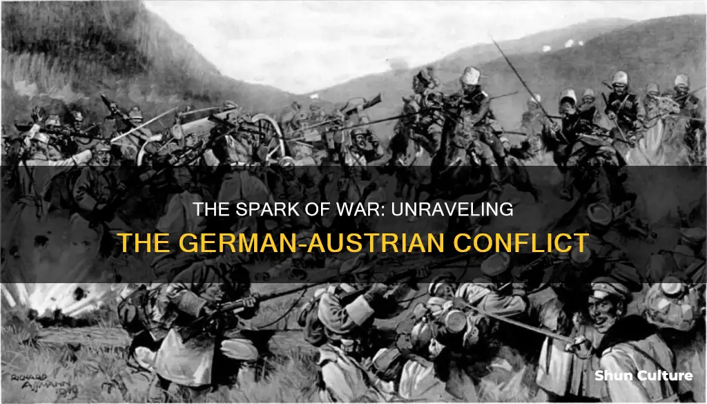 what was the cause of the german austria war