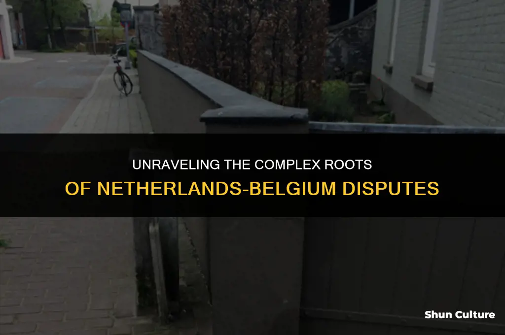 what was the cause of the netherlands-belgium disputes