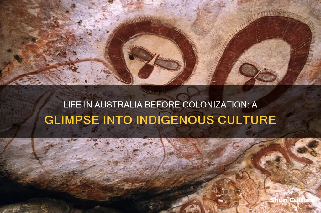 what was the colonie was like before colonization australia