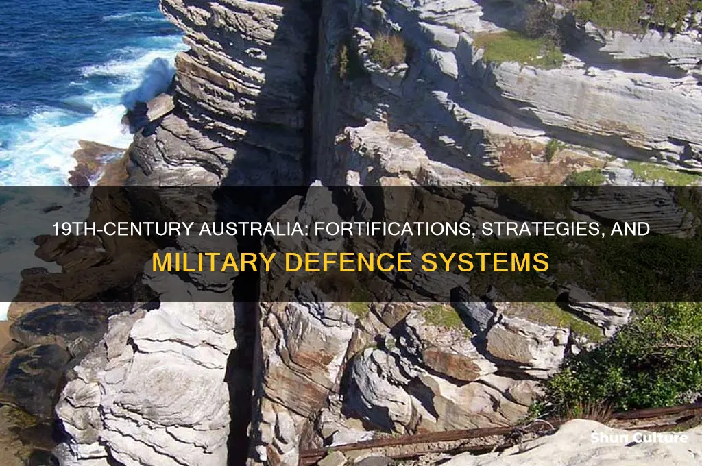 what was the defence like in the 1800s in australia