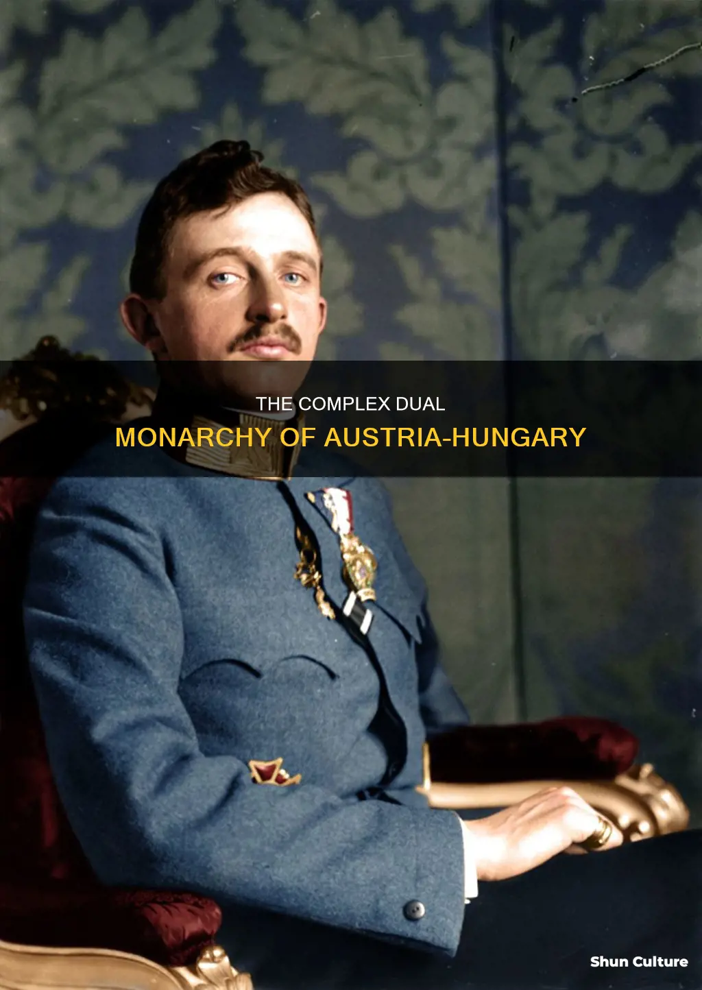 what was the dual monarchy of austria hungary