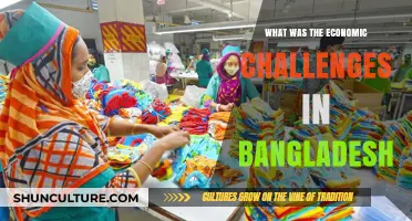 Economic Struggles in Bangladesh: Unraveling the Nation's Financial Hurdles