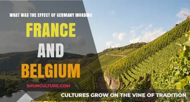 The Impact of Germany's Invasion on France and Belgium