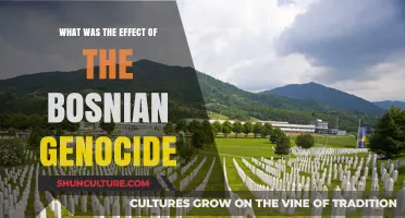 The Bosnian Genocide's Devastating Impact: A Legacy of Trauma and Loss