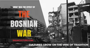 The Bosnian War's Devastating Impact: Legacy and Long-Term Consequences