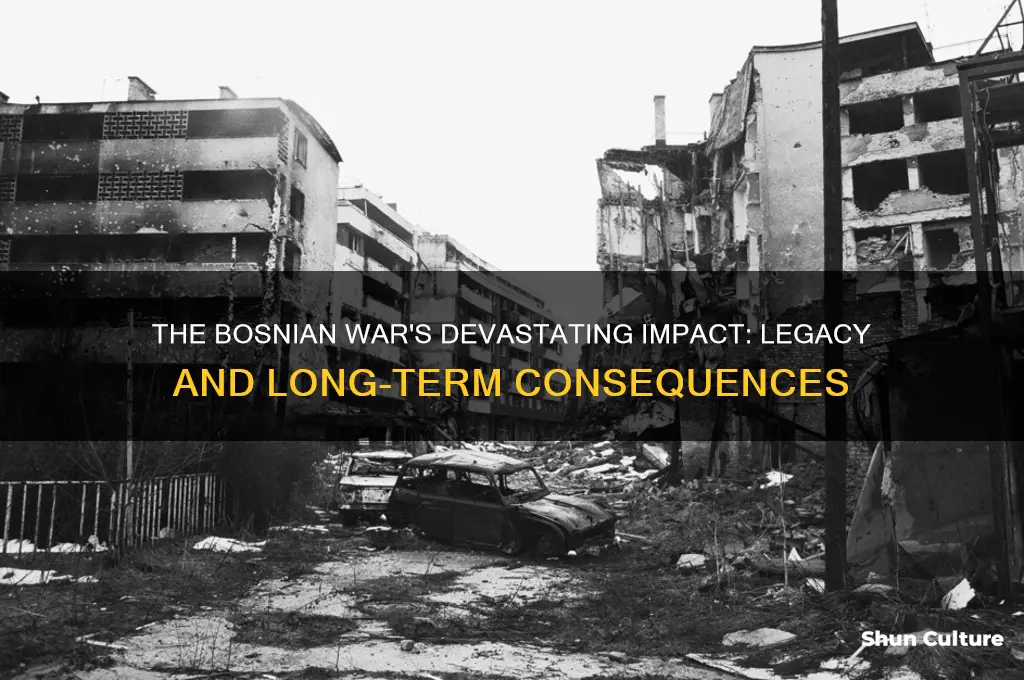 what was the effect of the bosnian war