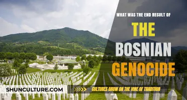 Bosnian Genocide Aftermath: Justice, Reconciliation, and Lasting Impact Explored