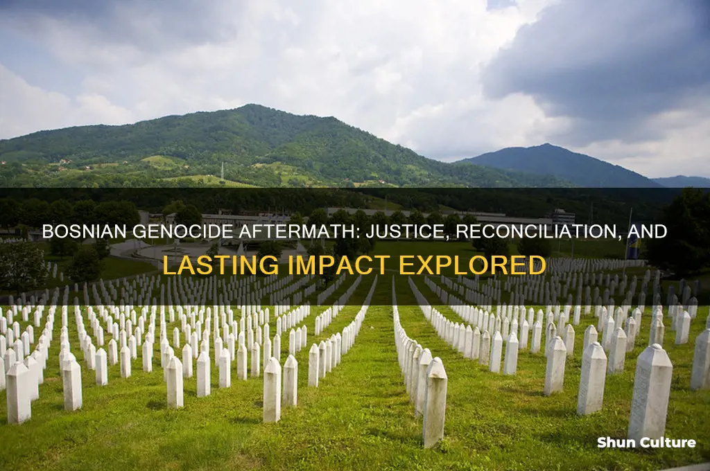 what was the end result of the bosnian genocide