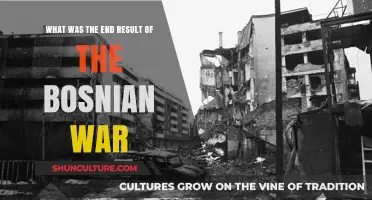 The Bosnian War's Aftermath: Peace, Division, and Lasting Impact