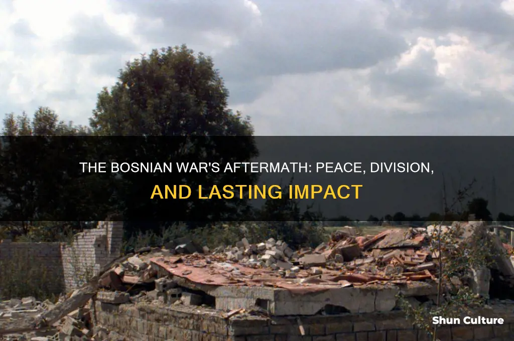 what was the end result of the bosnian war