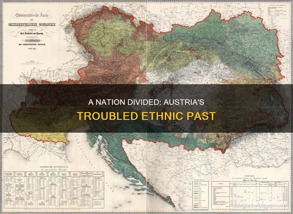 what was the ethnic problem in austria