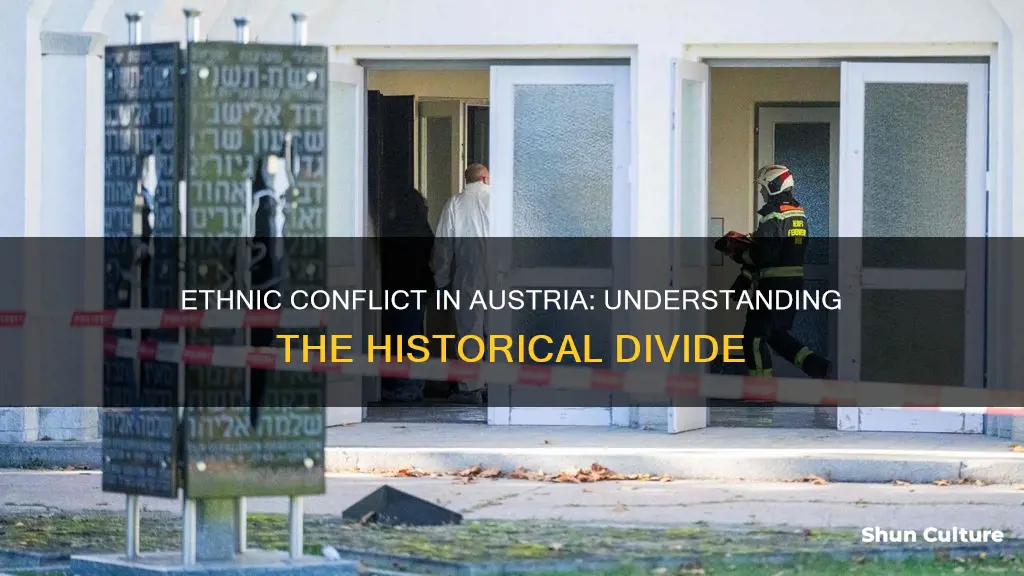 what was the ethnic problem in austria