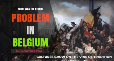 Unraveling Belgium's Ethnic Tensions: A Historical Perspective