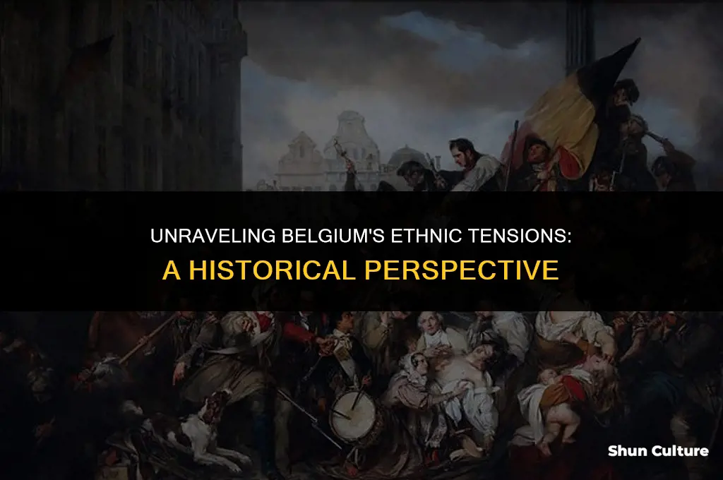 what was the ethnic problem in belgium
