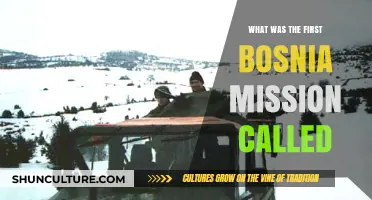 Unveiling the First Bosnia Mission: Operation Name and Purpose Explained