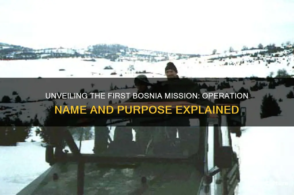 what was the first bosnia mission called