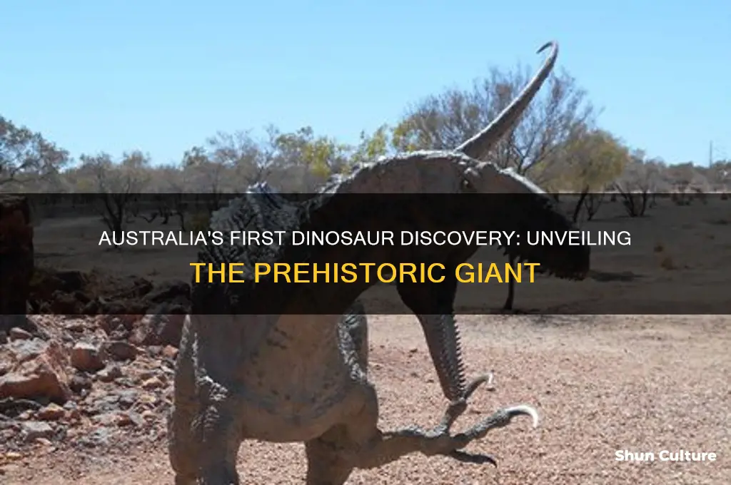 what was the first dinosaur discovered in australia