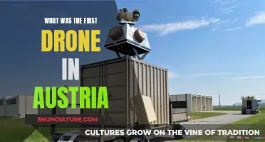 The First Austrian Drone: A Historical Overview