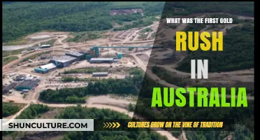 Australia's First Gold Rush: Uncovering the Bathurst Gold Fever