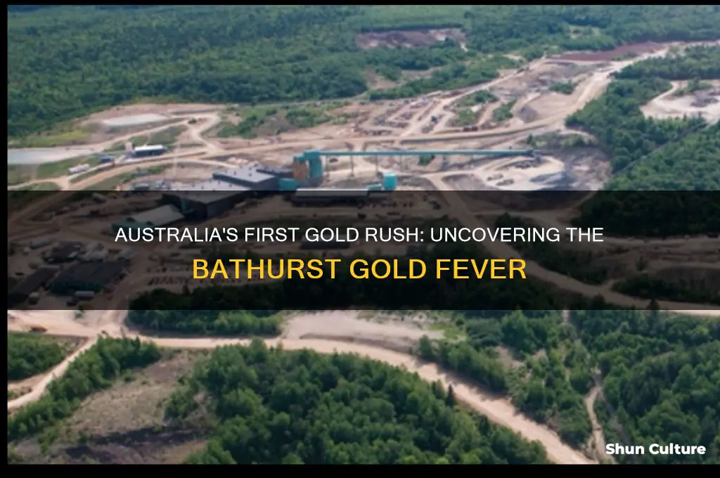 what was the first gold rush in australia