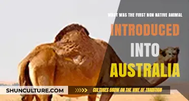 Australia's First Foreign Invader: The Surprising Non-Native Animal Introduction