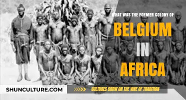 Exploring the Rich History of Belgium's Former African Colony