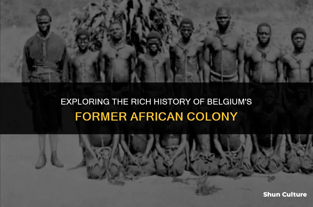 what was the former colony of belgium in africa