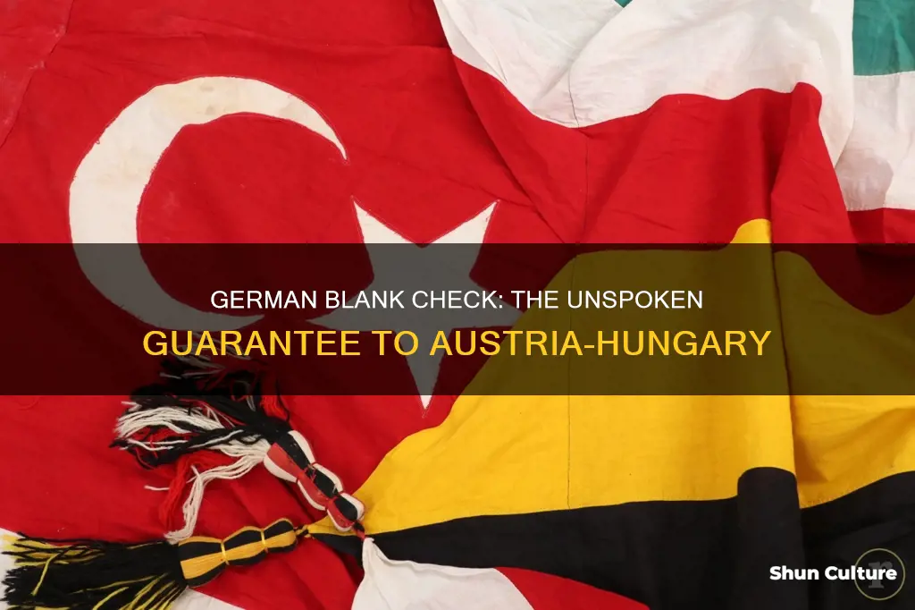 what was the german blank-check that they offered austria hungary