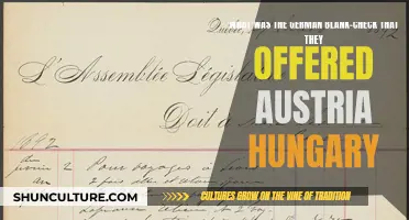 Germany's Blank Check Promise: Austria-Hungary's War Assurance