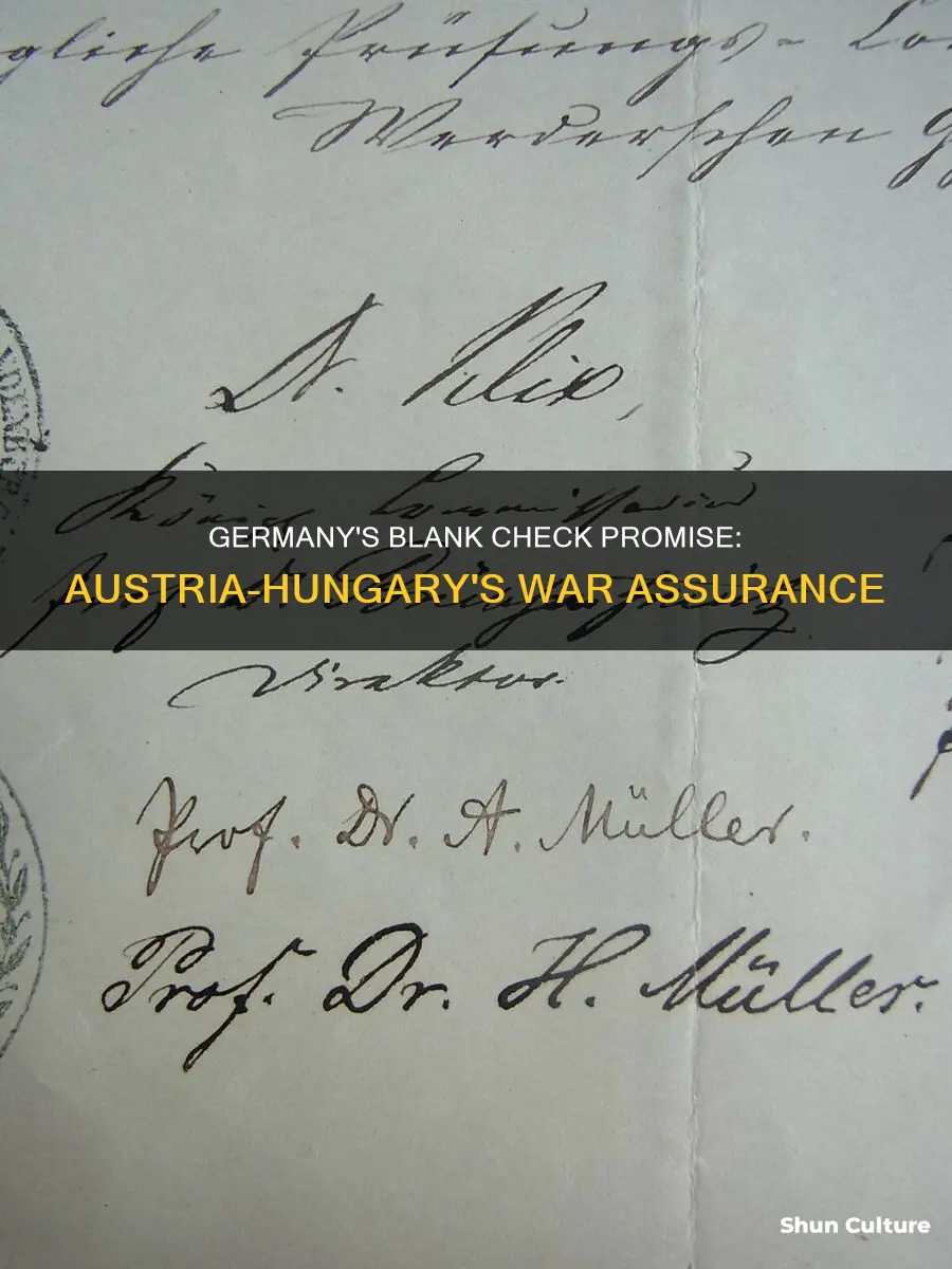 what was the german blank-check that they offered austria hungary