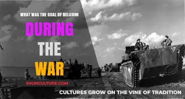 Belgium's War Objectives: A Historical Analysis