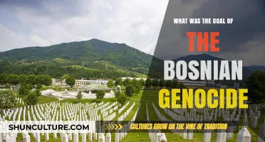 Understanding the Bosnian Genocide: Uncovering the Devastating Goals Behind the Atrocities
