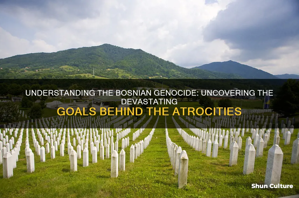 what was the goal of the bosnian genocide