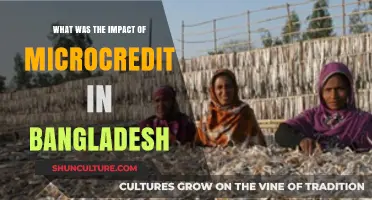 Microcredit's Transformative Impact on Bangladesh's Economy and Society