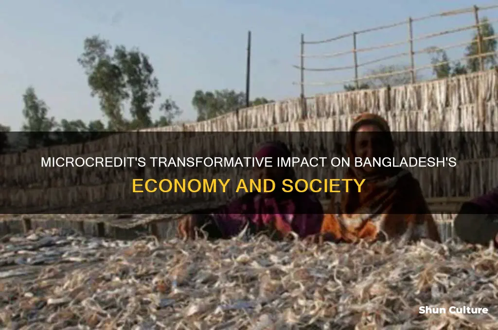 what was the impact of microcredit in bangladesh