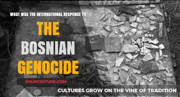 Global Reactions to the Bosnian Genocide: A Comprehensive Analysis