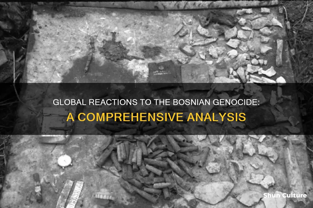 what was the international response to the bosnian genocide