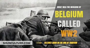 The Forgotten Battle: Belgium's WWII Invasion Revisited
