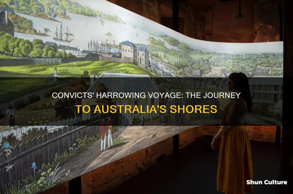 what was the journey like for convicts to australia