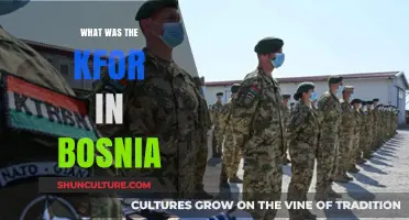 Understanding KFOR's Role in Bosnia: A Comprehensive Overview