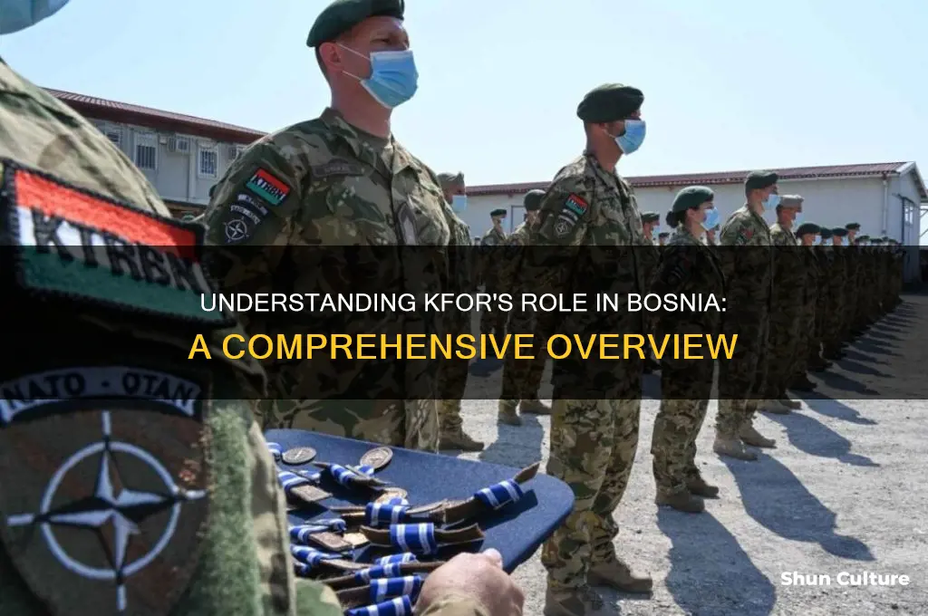 what was the kfor in bosnia
