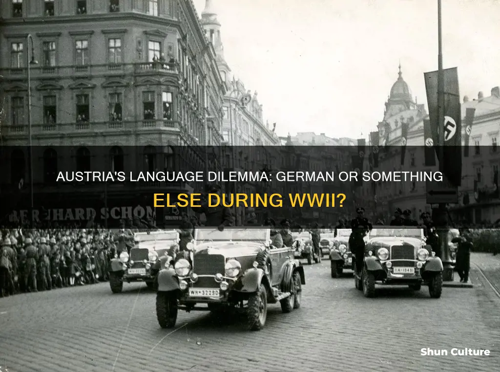 what was the language in austria during world war 2