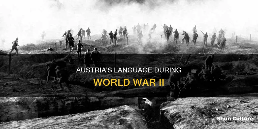 what was the language in austria during world war 2