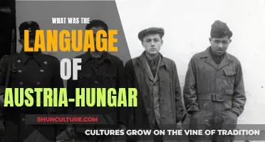 The Evolution of Austria-Hungary's Languages: A Historical Overview