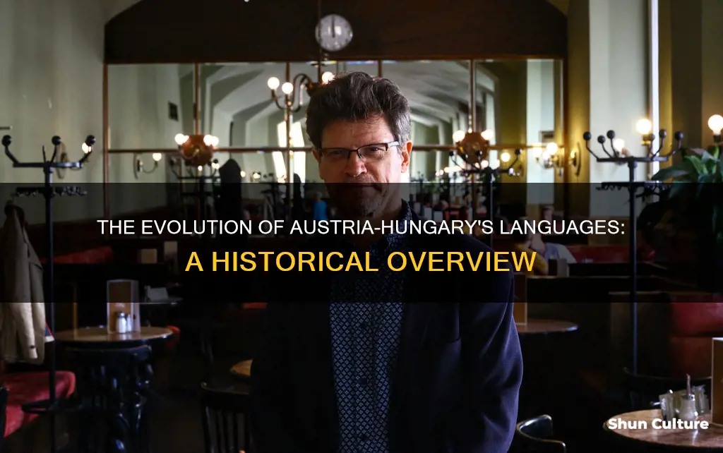 what was the language of austria-hungary