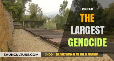 The Devastating Holocaust: Uncovering History's Most Deadly Genocide