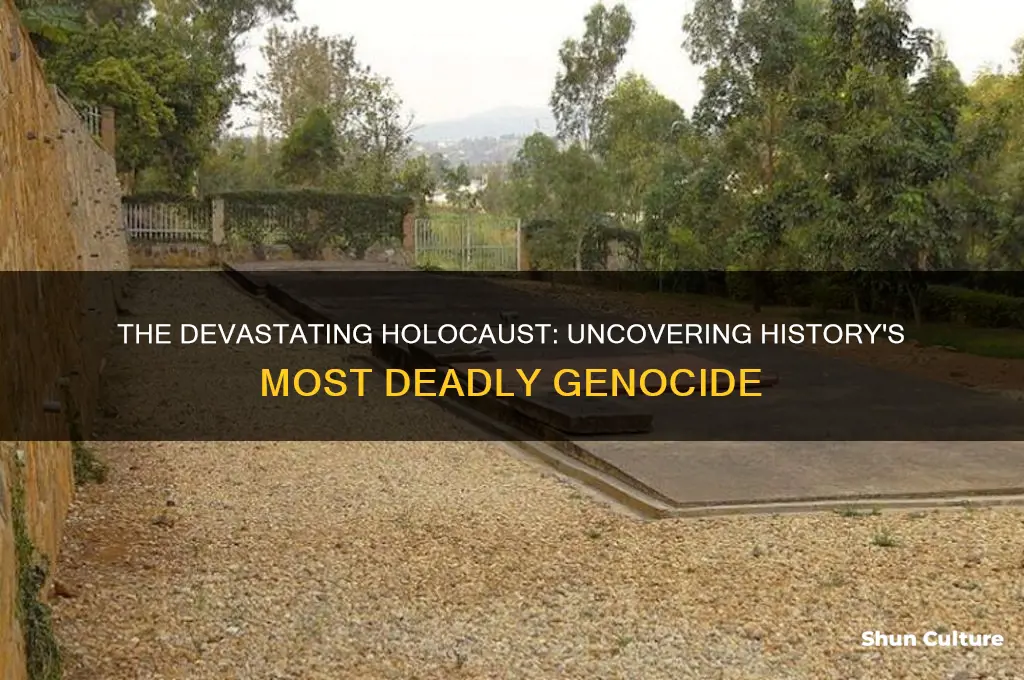 what was the largest genocide