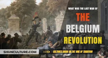 The Final Chapter: Belgium's Revolution and Its Last War